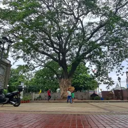 San Juan Bautista Church - Calamba