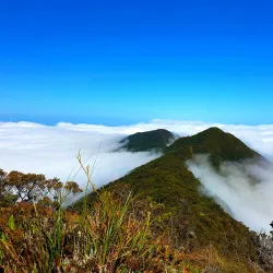 Mount Halcon - Calapan City