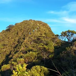 Mount Halcon - Calapan City