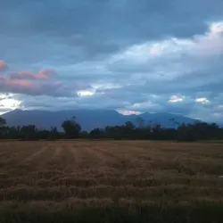 Mount Halcon - Calapan City