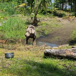 Naujan Lake National Park - Calapan City