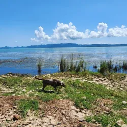 Naujan Lake National Park - Calapan City