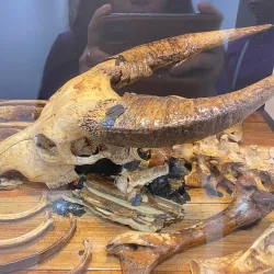 Oriental Mindoro Museum - Calapan City