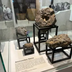 Oriental Mindoro Museum - Calapan City