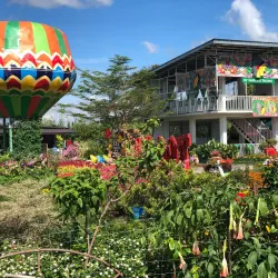 Agricultural Farms and Plantations - Candelaria