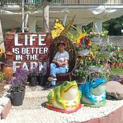 Agricultural Farms and Plantations - Candelaria