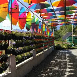 Agricultural Farms and Plantations - Candelaria