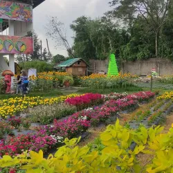 Agricultural Farms and Plantations - Candelaria