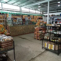 Agricultural Farms and Plantations - Candelaria