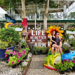 Agricultural Farms and Plantations - Candelaria