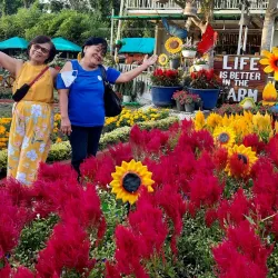 Agricultural Farms and Plantations - Candelaria