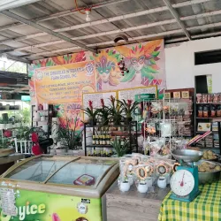 Agricultural Farms and Plantations - Candelaria