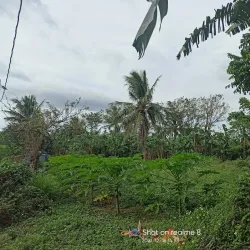 Barangay San Isidro - Candelaria