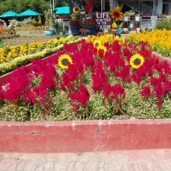 Candelaria Coastal Areas - Candelaria