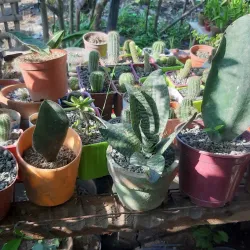 Candelaria Coastal Areas - Candelaria