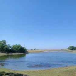 Candelaria River - Candelaria