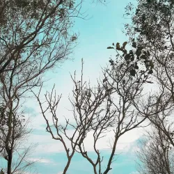 Candelaria River - Candelaria