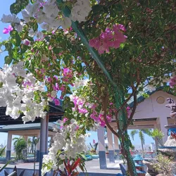 Candelaria River - Candelaria