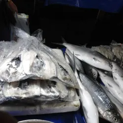 Local Festivals - Candelaria Town Fiesta - Candelaria