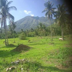 Mount Banahaw Viewpoints - Candelaria