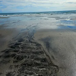 Local Festivals and Cultural Events - Cateel