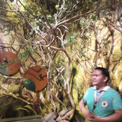 Mount Hamiguitan Range Wildlife Sanctuary - Cateel