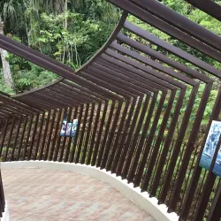 Mount Hamiguitan Range Wildlife Sanctuary - Cateel