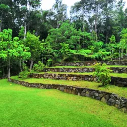 Mount Hamiguitan Range Wildlife Sanctuary - Cateel
