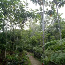 Mount Hamiguitan Range Wildlife Sanctuary - Cateel