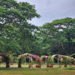 Cauayan City Museum - Cauayan City