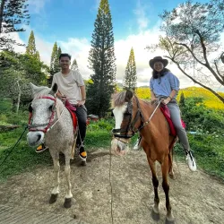 Tagaytay Picnic Grove - Cavite