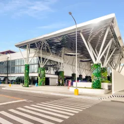 Cebu Ocean Park - Cebu