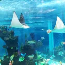 Cebu Ocean Park - Cebu