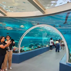 Cebu Ocean Park - Cebu