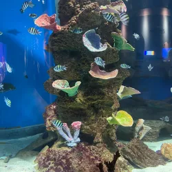 Cebu Ocean Park - Cebu