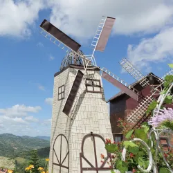 Sirao Flower Garden - Cebu