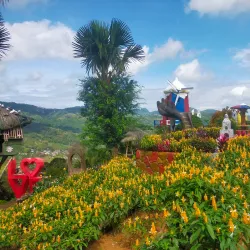 Sirao Flower Garden - Cebu