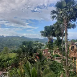 Sirao Flower Garden - Cebu