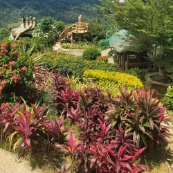 Sirao Flower Garden - Cebu