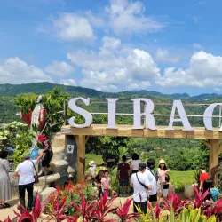 Sirao Flower Garden - Cebu