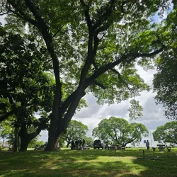 Clark Nature Park - Clark Freeport