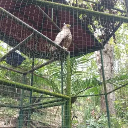Pasonanca Natural Park (nearby) - Cotabato City