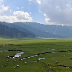 Bangus Festival - Dagupan