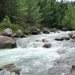 Bangus Festival - Dagupan