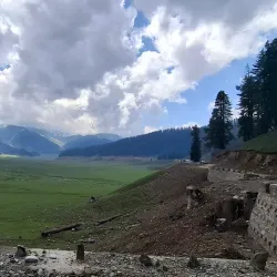 Bangus Festival - Dagupan