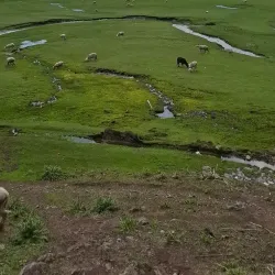 Bangus Festival - Dagupan