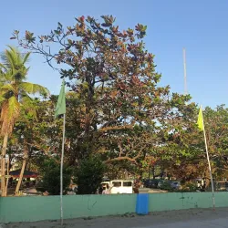 Bonuan Blue Beach - Dagupan