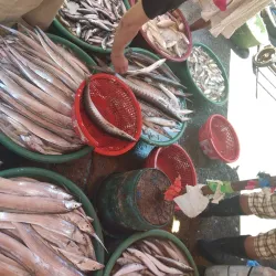 Dagupan City Public Market - Dagupan