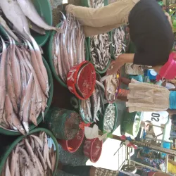Dagupan City Public Market - Dagupan
