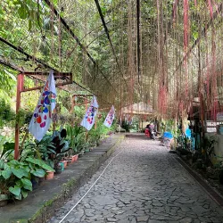 Mantalongon Falls - Danao